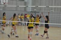 Grad Zagreb u sezoni 2017/2018 ima dva odbojkaška kluba u Super ligi u obje kategorije