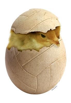 Odgođen 7. međunarodni Uskršnji turnir u mini odbojci